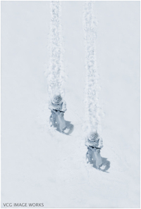 Snowtroopers_fukanmini