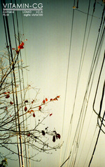 lomo_localarea