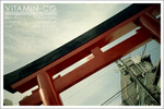 lomo_torii