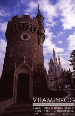 nikon_castle_far