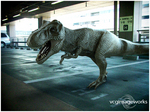 parking_rex