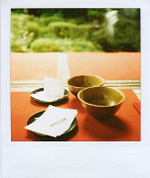 Sanzenin_sx70