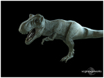 t-rex0206